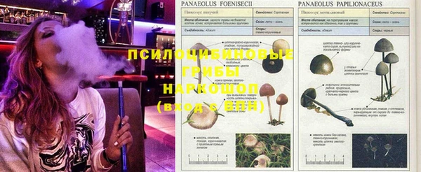 прущая мука Верхнеуральск