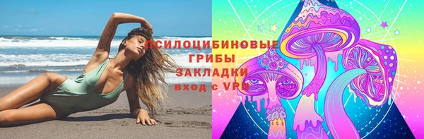 эйфоретик Верея