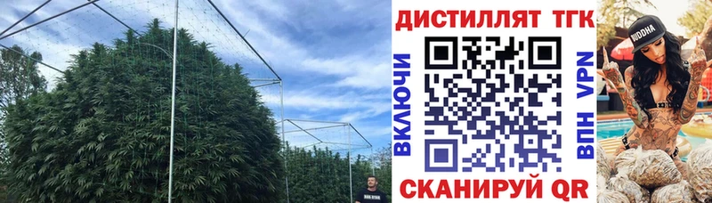 Купить  Чердынь  Дистиллят ТГК THC oil 